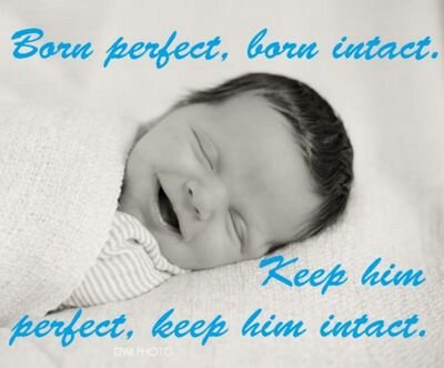 NOCIRCTuscAL's profile picture. NOCIRC of Alabama - Tuscaloosa is a subchapter of the National Organization of Circumcision Information Resource Centers.