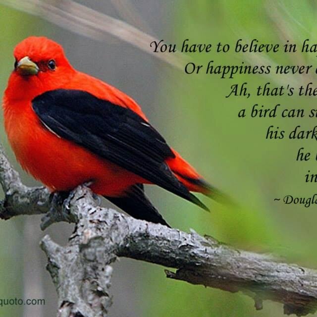 MariaGroGlza's profile picture. 