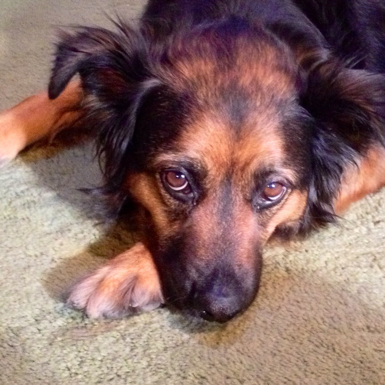 cherie_barron's profile picture. 