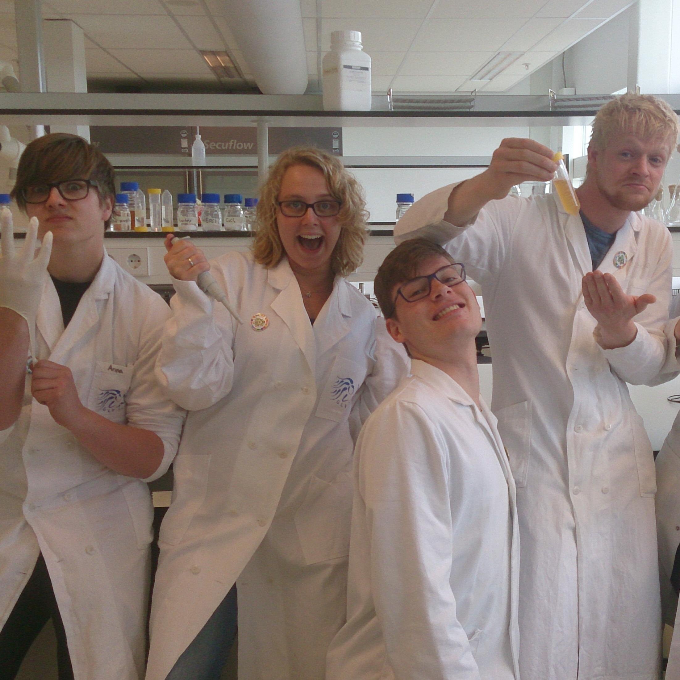iGEM 2014 team Groningen