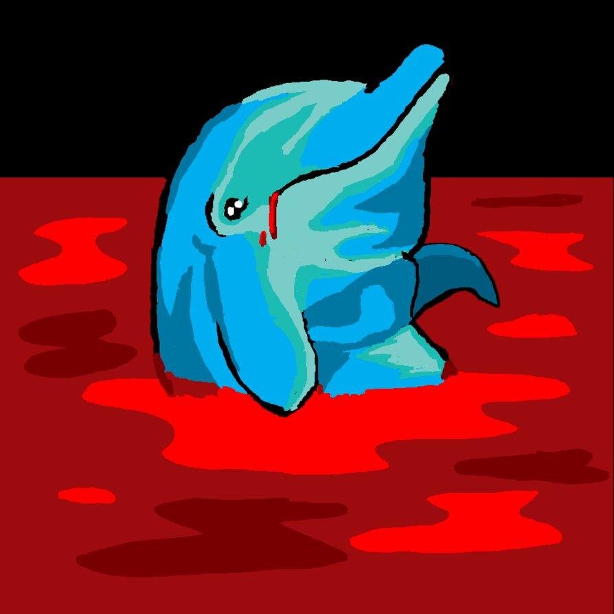 dOLPHINS! eMO DOLPHINS!