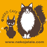 秋葉原の猫カフェ~ねこ・JaLaLa~(@nekojalala) 's Twitter Profile Photo