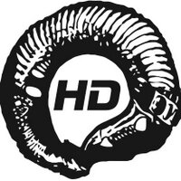 wormholedeath (@wormholedeath) 's Twitter Profile