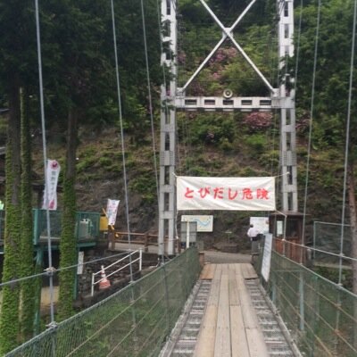 柿