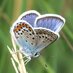 DWT Bystock Reserve Volunteers (@dwt_exmouthlg) Twitter profile photo