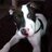 OriginalTebow's profile image