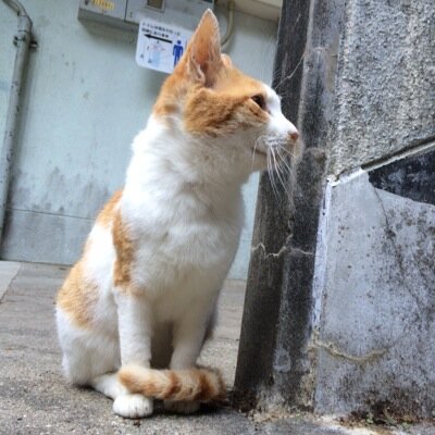 バイ 露出好きなM ディビさんの漫画が尊い 甘攻めしか勝たん 早漏すぎるから舐める方が好きです