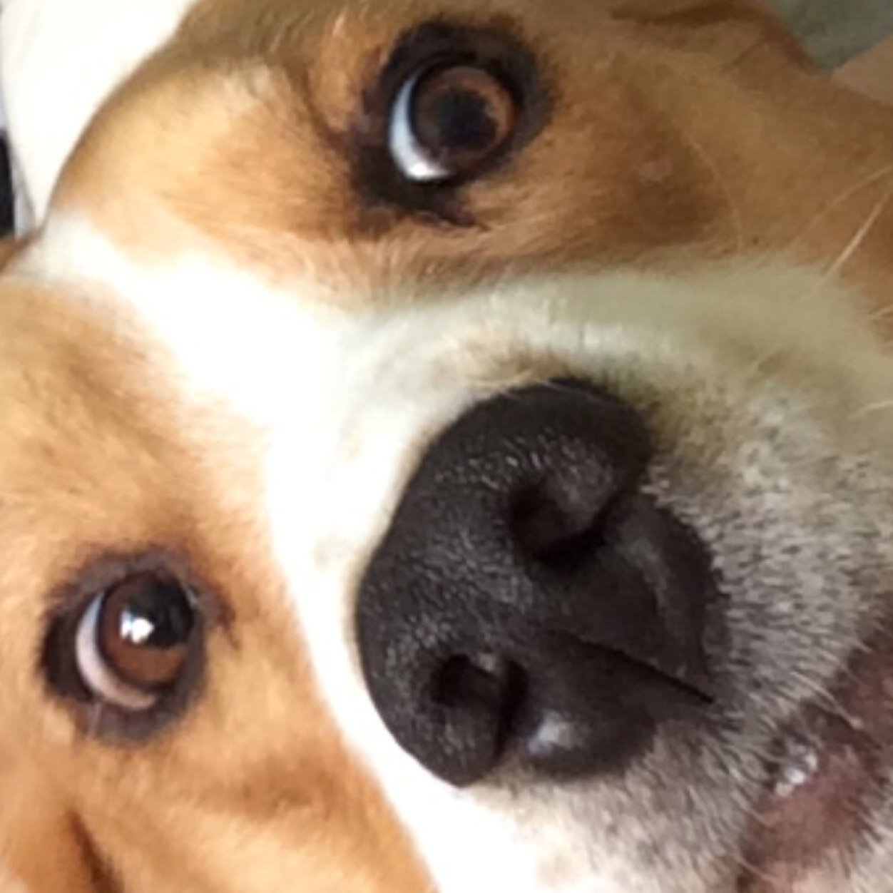 ryanmoore367's profile picture. getting old with style