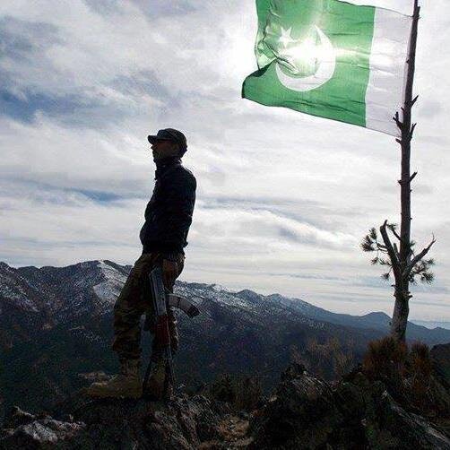 iamosama17's profile picture. cricket