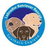LRRSE is a UK charity whose aim is to unite Labrador Retrievers and Labrador cross breeds with loving new homes .