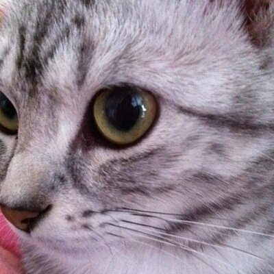 不眠戦隊ネムレンジャー黒はお菓子とゲームを燃料に動いています 主に公式様フォロー|日常つぶやきメイン