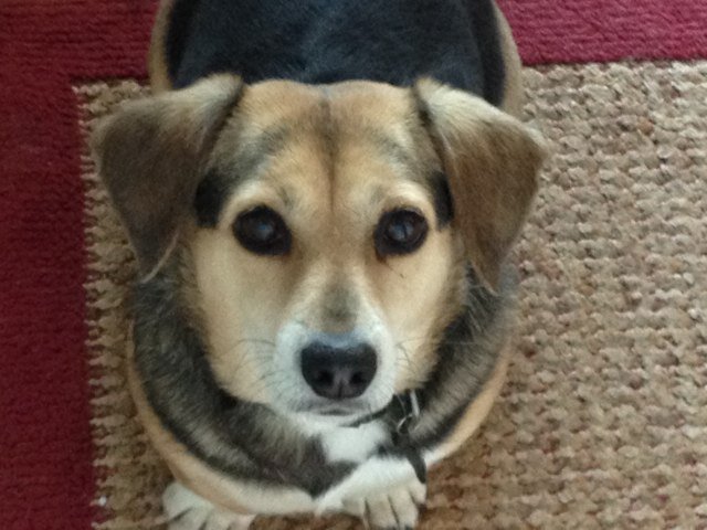 TheSideshowMag's profile picture. All good, literally.