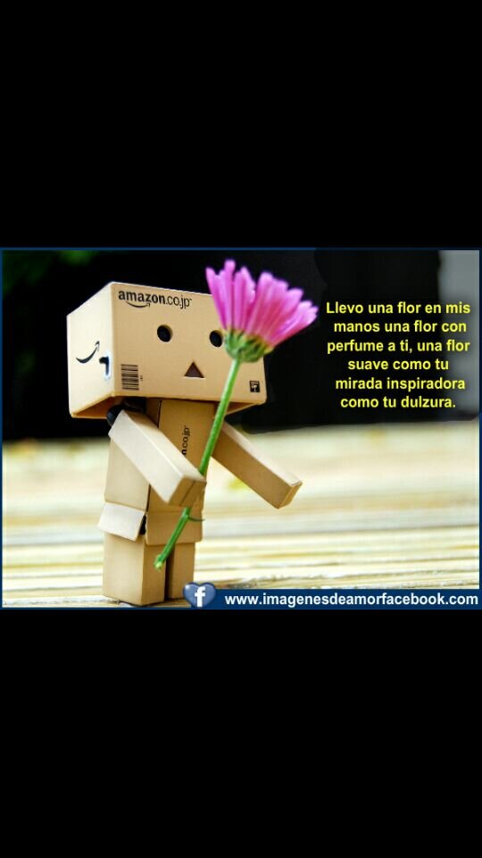 Sigeme y te sigo