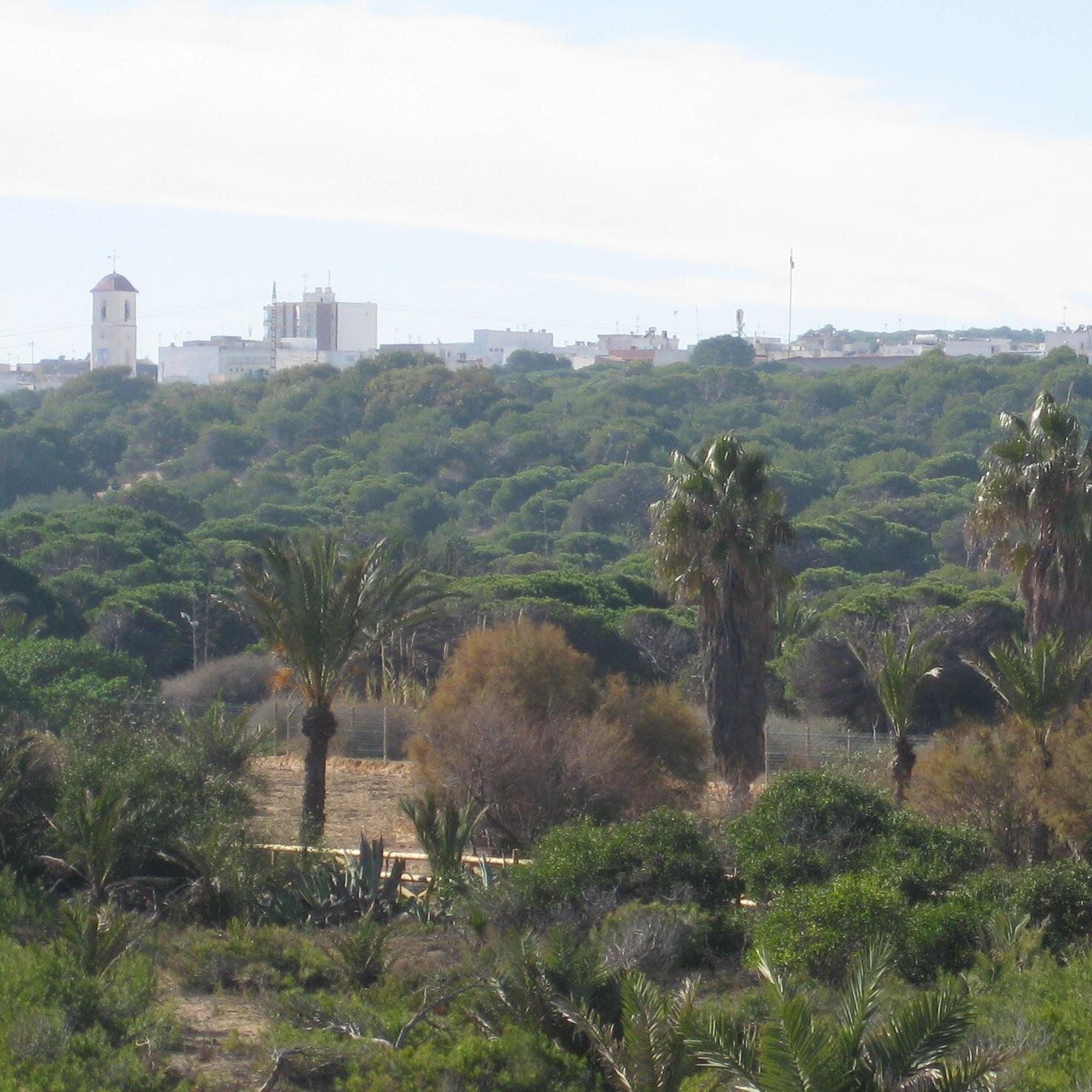 #Guardamar. Un paraíso en la costa blanca de #Alicante.