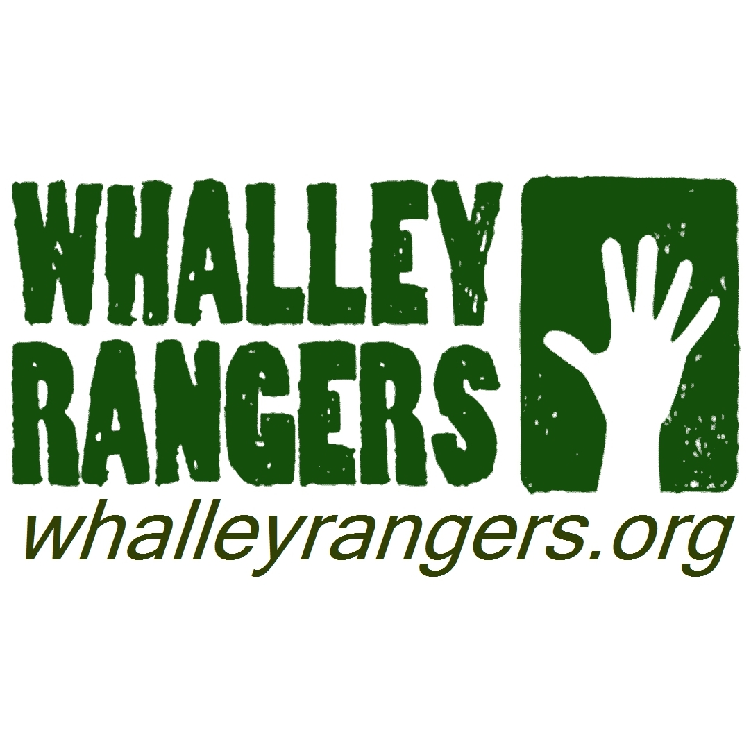 WhalleyRanger1's profile picture. Taking pride in where we live