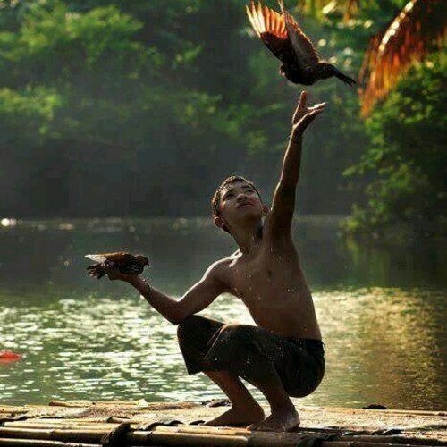 bretto_elisa's profile picture. You are braver than you believe, stronger than you seem, smarter than you think and loved more than you know.