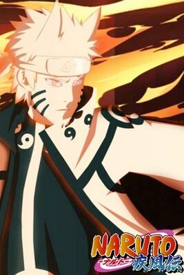 steckler_joe's profile picture. 