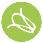 Insecterie's profile picture. 