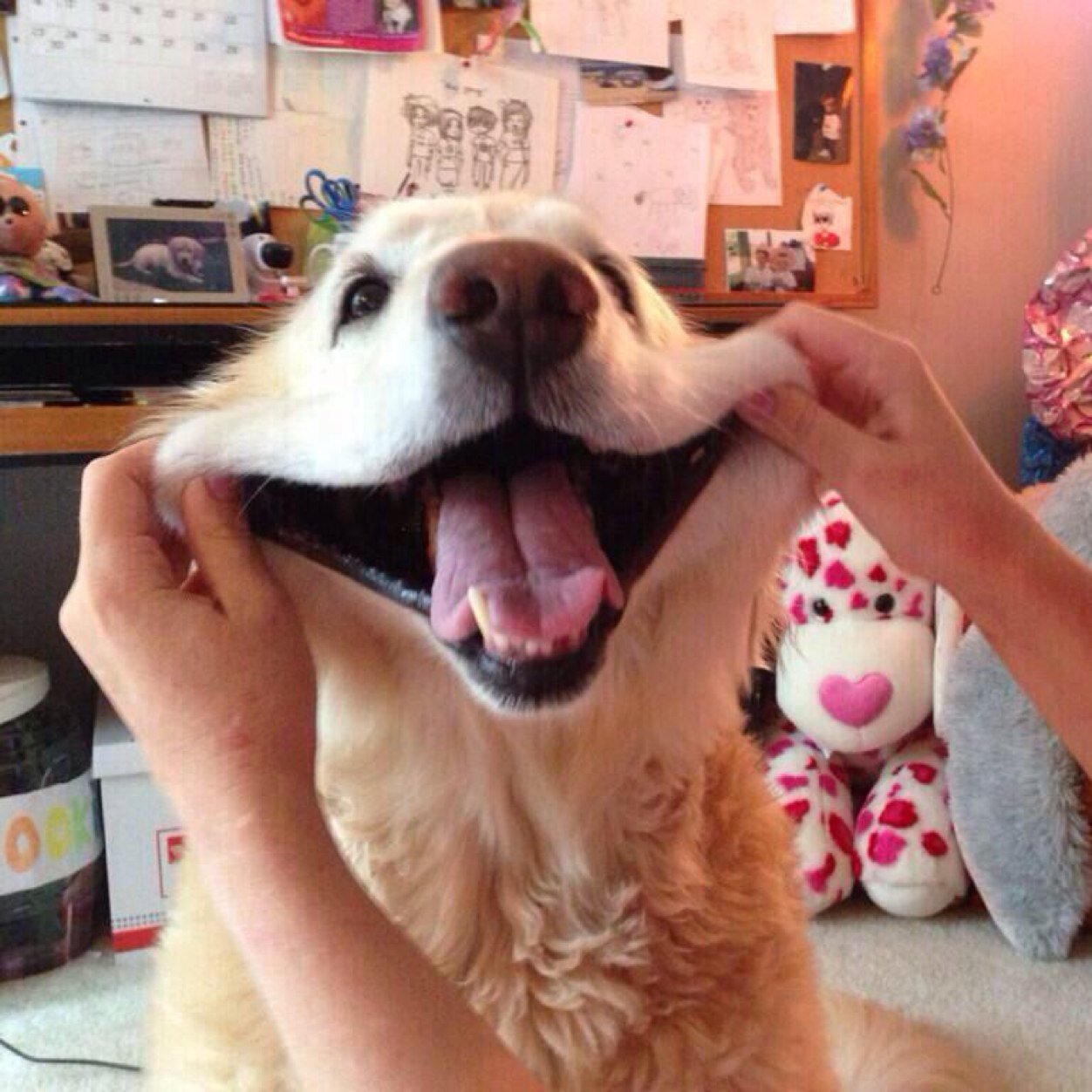 i like smelling dogs butt