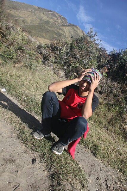wismo