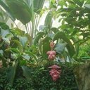 Wing Ting Wong - @kt0801860 - Twitter