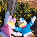 まいまい (@081tiamo) Twitter