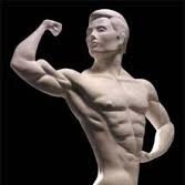 TransforNation is built on a passion for fitness, health and the beauty of the human body. We believe that transforming your body and life is an ongoing process