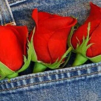 GiovannaBaglivi's profile picture. shiatsu - musica - cinema -mare-passeggiate viaggi bici alla scoperta del naturale