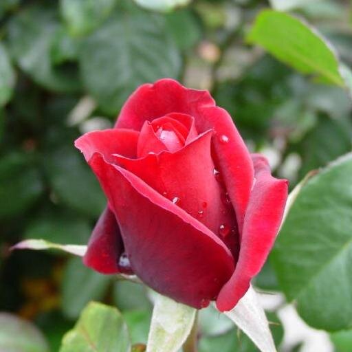 SaJni_sMs's profile picture. For more visit http://t.co/rwk7ahAeOp