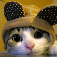 merdo (@merdodh) 's Twitter Profile