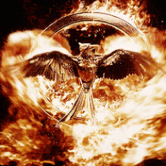 TmottaDing's profile picture. Mining Crypto is my GAME!