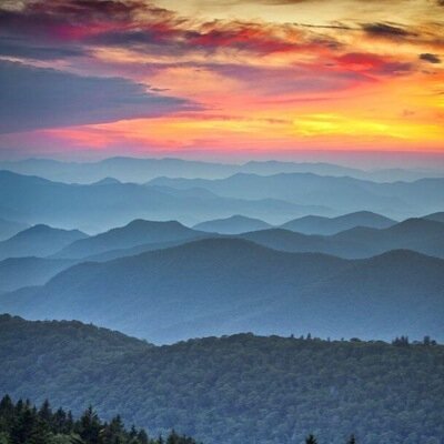 msloop1's profile picture. 