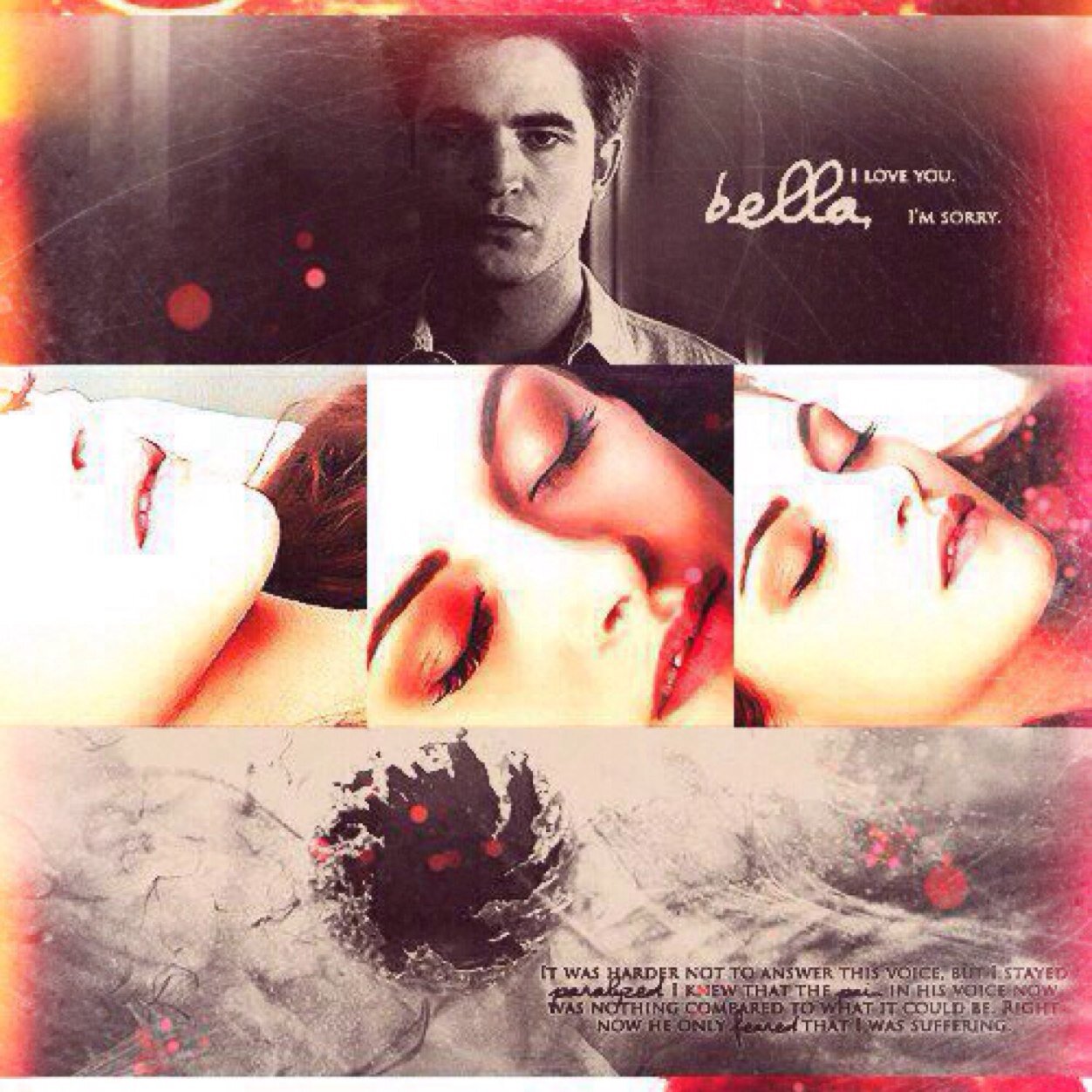 Twilight Saga Cafeさんのプロフィール画像