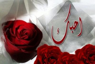 اعشق شتاء نوفمبر كل شي مختلف حتي المواعيد