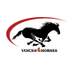 Voices4Horses (@voices4horses) Twitter profile photo Voices4Horses (@voices4horses) Twitter profile photo