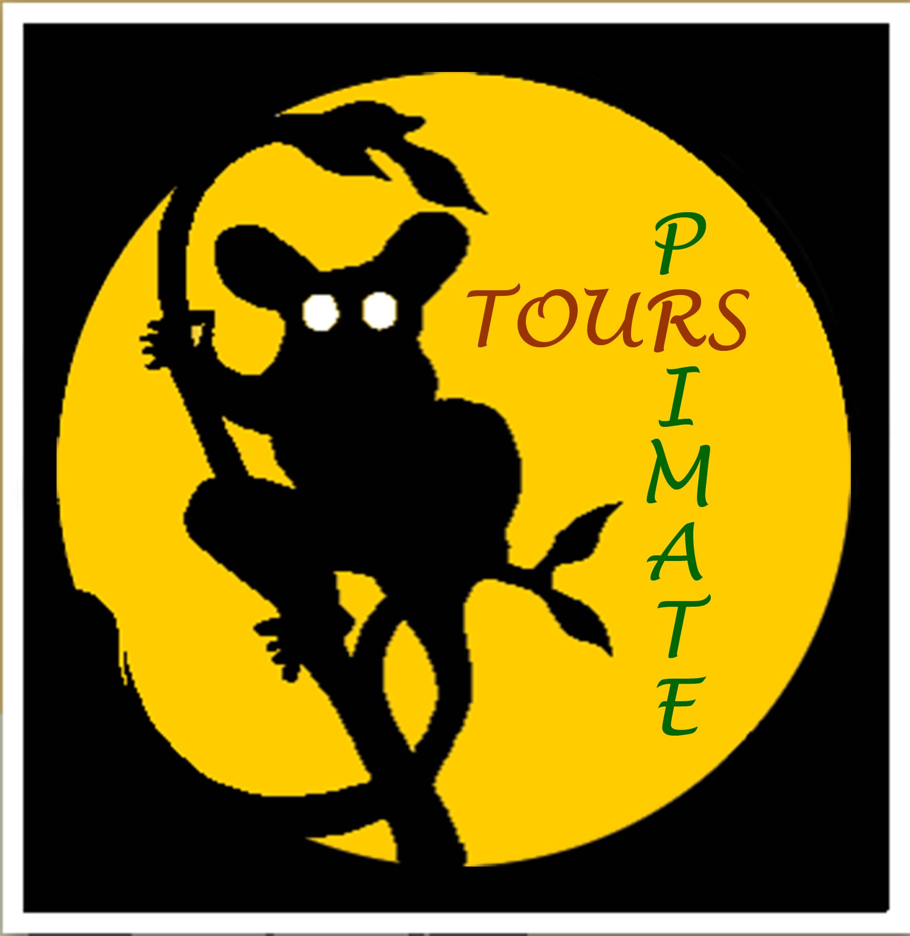 Founder and owner of Primate Tours ltd. and Chimps' Nest ltd.
Experience in technics, sales and management.
