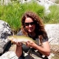 hollysuekerns (@hollysuekerns) 's Twitter Profile
