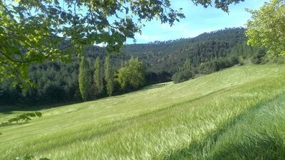 AnaFontaneda1's profile picture. 