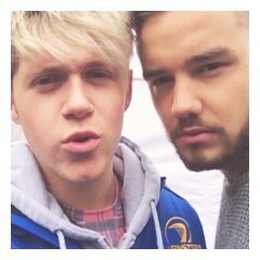 sunshines