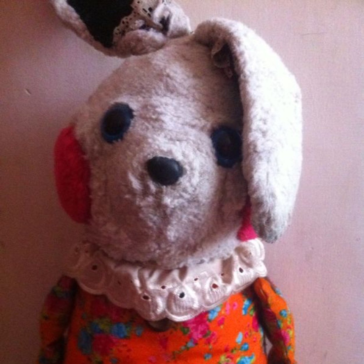 SenorConejoo's profile picture. Favor de alimentar al Conejo