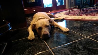 smceldow's profile picture. 