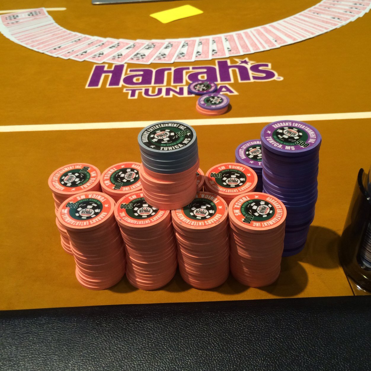 APolivka's profile picture. 