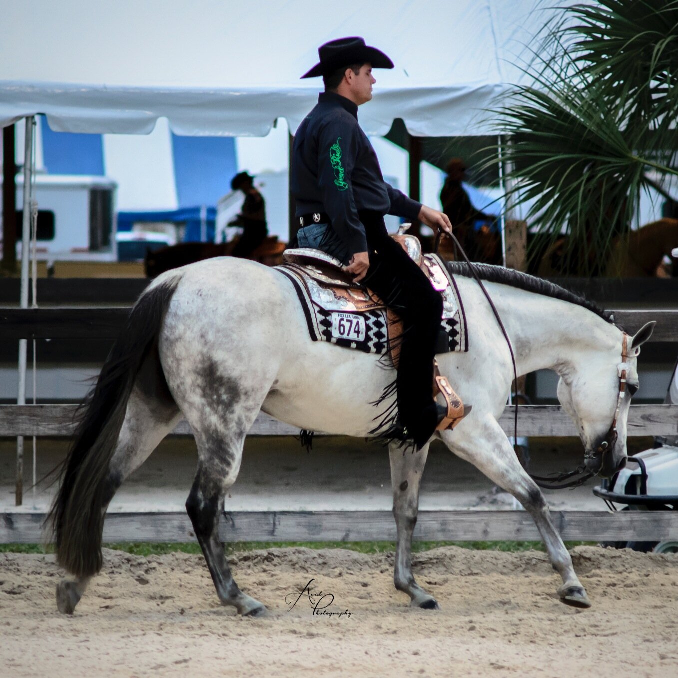 Horse Trainer specializing in Western Pleasure, Hunt Seat, & All Around events