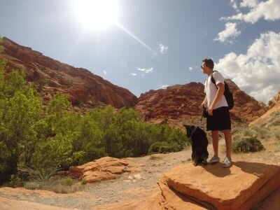 CodeyLombardi's profile picture. San Diego State University                                       Phi Kappa Theta