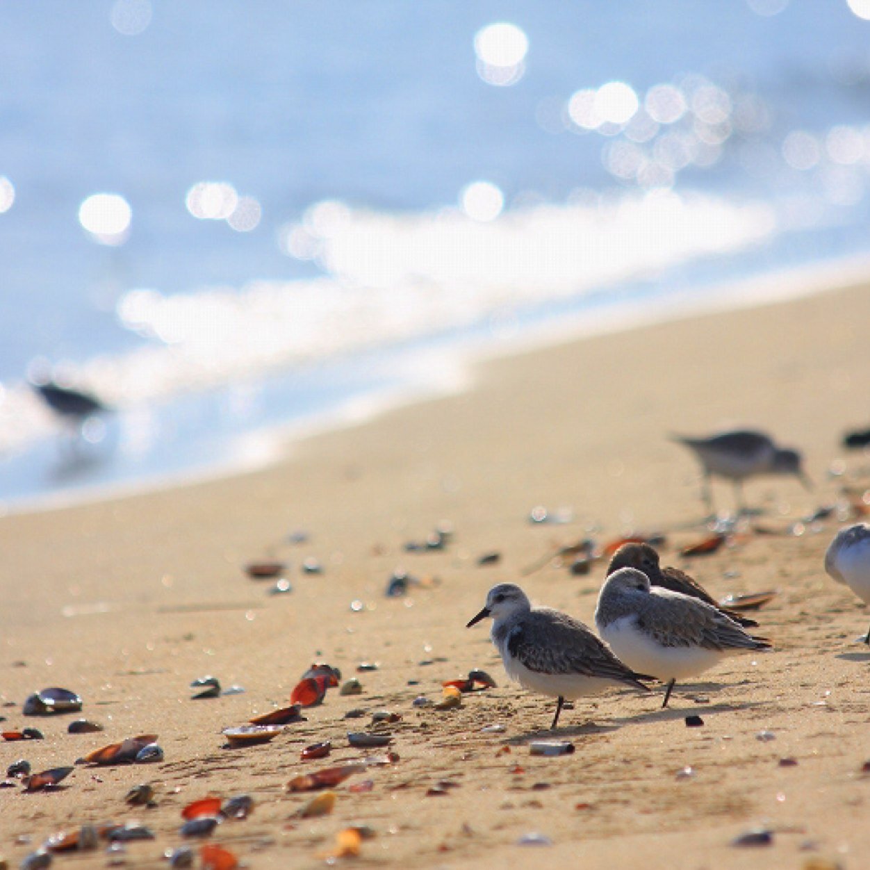 vipura_0224's profile picture. 