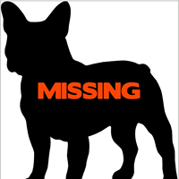 MissingFrenchie's profile picture. Missing French Bulldogs was created with the hopes of enabling the safe return home of missing Frenchies.