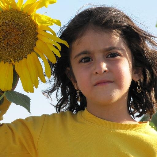 RezaShajie's profile picture. 