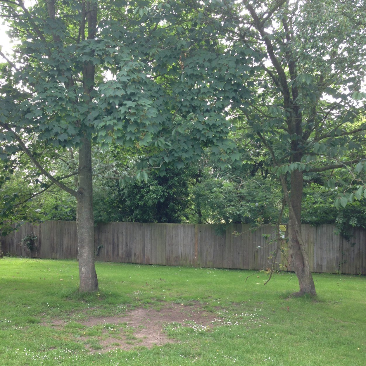 MiddleGreenFC's profile picture. The Middle Green FC