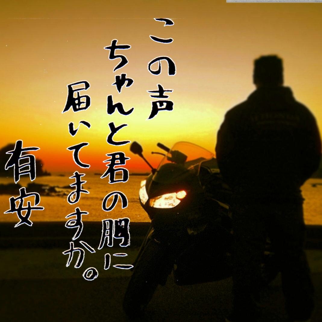 音楽に浸りたい