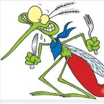 IM DAT MOSQUITO YALL KEEP SWATTIN AWAY 
#suckinbodies